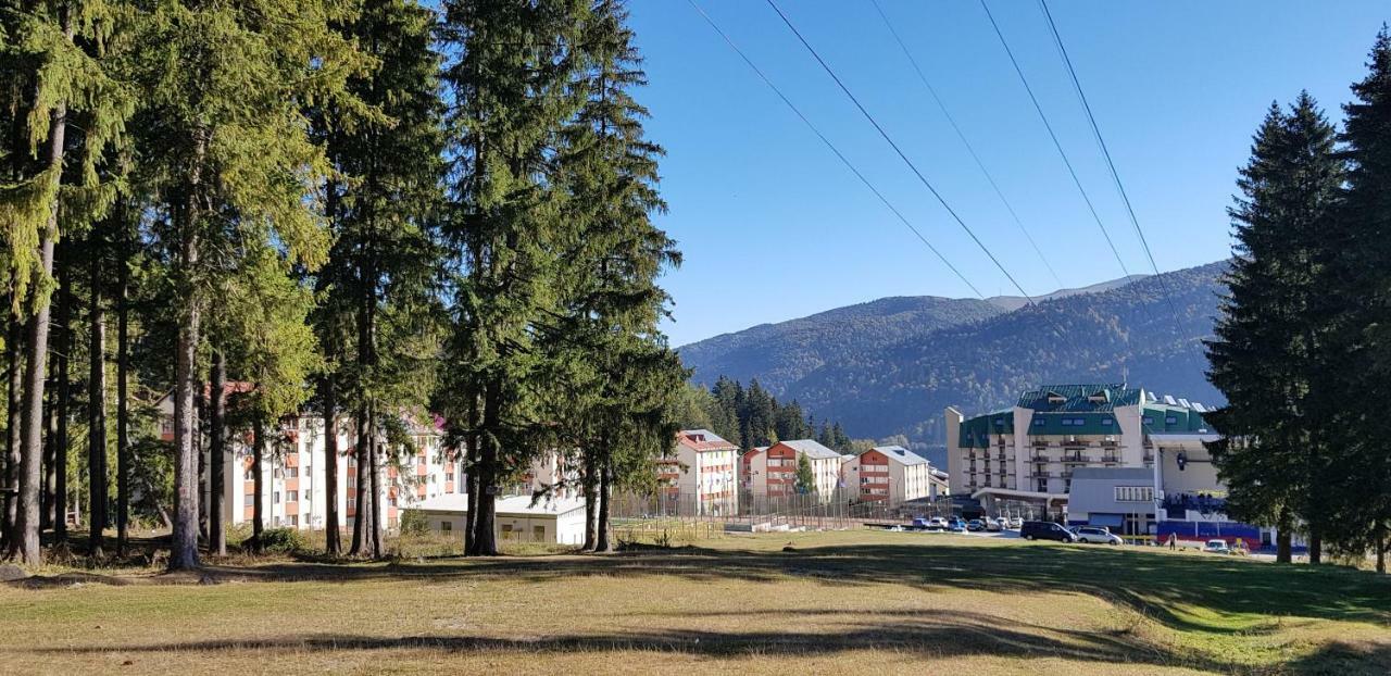 Apartament Silva Buşteni Dış mekan fotoğraf